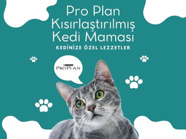 Pro Plan Kısırlaştırılmış Kedi Maması: Sağlıklı ve Dengeli Beslenme İçin İdeal Tercih