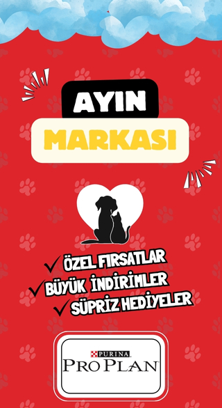 YEMGROSS YEM SANAYİ TICARET LİMİTED ŞİRKETİ Resim - 1