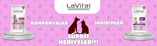 YEMGROSS YEM SANAYİ TICARET LİMİTED ŞİRKETİ Resim - 3