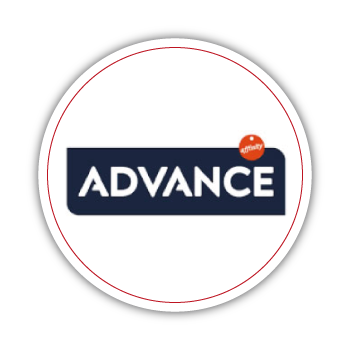 YEMGROSS YEM SANAYİ TICARET LİMİTED ŞİRKETİ - 1