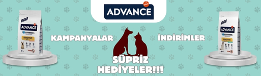 YEMGROSS YEM SANAYİ TICARET LİMİTED ŞİRKETİ Resim - 2