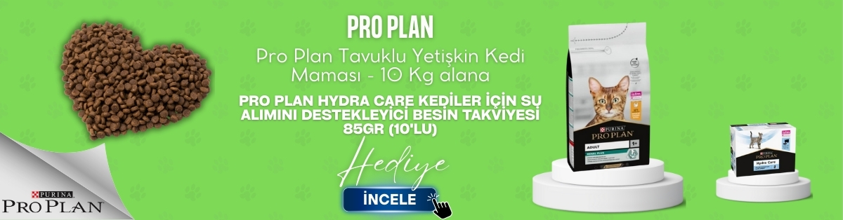 YEMGROSS YEM SANAYİ TICARET LİMİTED ŞİRKETİ - 1