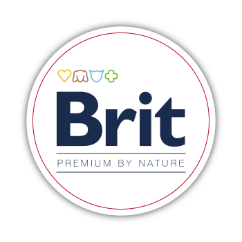 YEMGROSS YEM SANAYİ TICARET LİMİTED ŞİRKETİ - 2