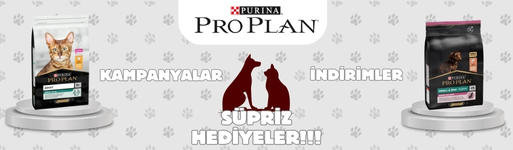 YEMGROSS YEM SANAYİ TICARET LİMİTED ŞİRKETİ Resim - 1