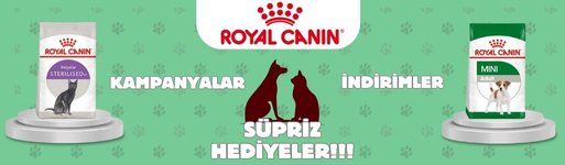 YEMGROSS YEM SANAYİ TICARET LİMİTED ŞİRKETİ Resim - 1