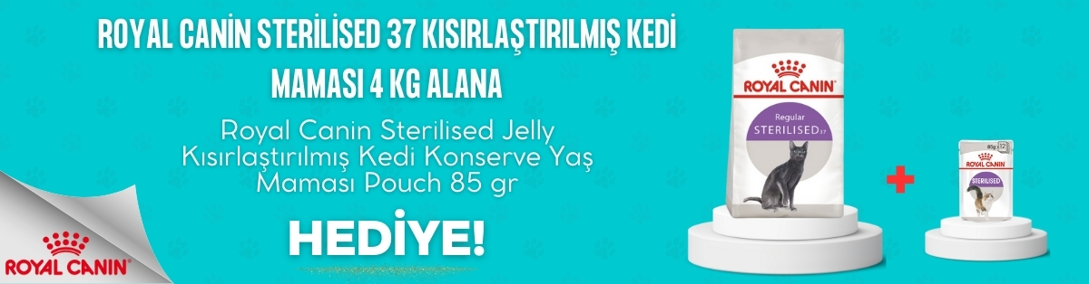 YEMGROSS YEM SANAYİ TICARET LİMİTED ŞİRKETİ - 3