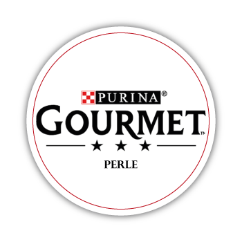 YEMGROSS YEM SANAYİ TICARET LİMİTED ŞİRKETİ - 7