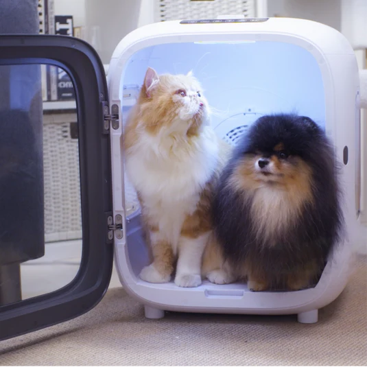 Aclıum Kedi- Köpek Kurutucu 35w