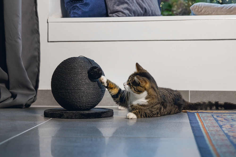 Karlıe Kedi Tırmalama Küresi Bolly Siyah 30.5cm Karlıe Kedi Tırmalama Küresi Bolly Siyah 30.5cm