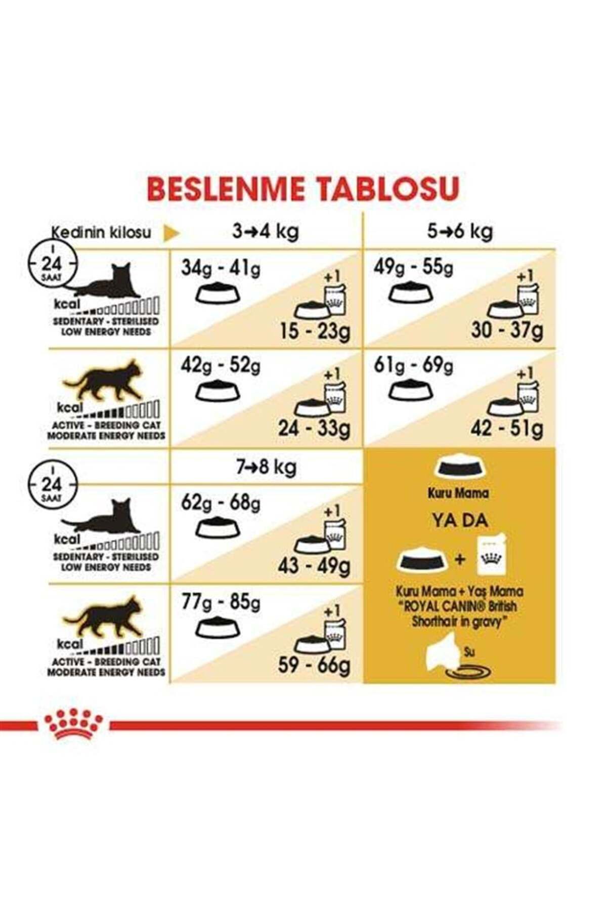 British Shorthair Kedilerine Özel Mama 10 Kg