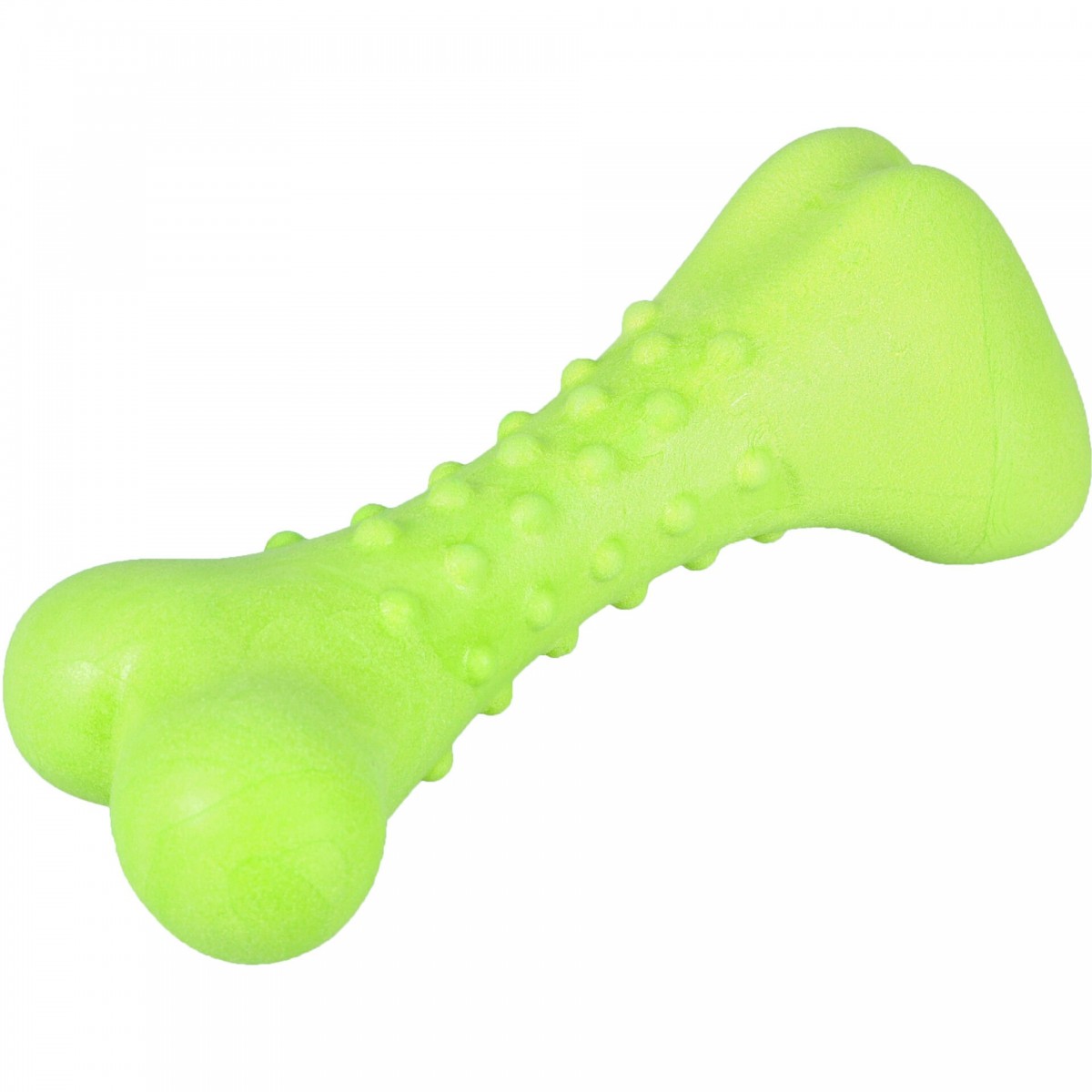 Dına Nane Kok.Kemık Yesıl 16Cm