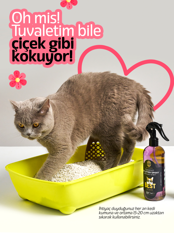 Doku Pet Cat Litter Spray 400 ml Doku Pet Cat Litter Spray 400 ml