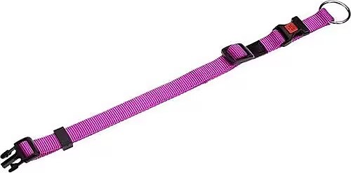 Flamingo Köpek Boyun Tasması 45-60cm/25mm Pembe Flamingo Köpek Boyun Tasması 45-60cm/25mm Pembe