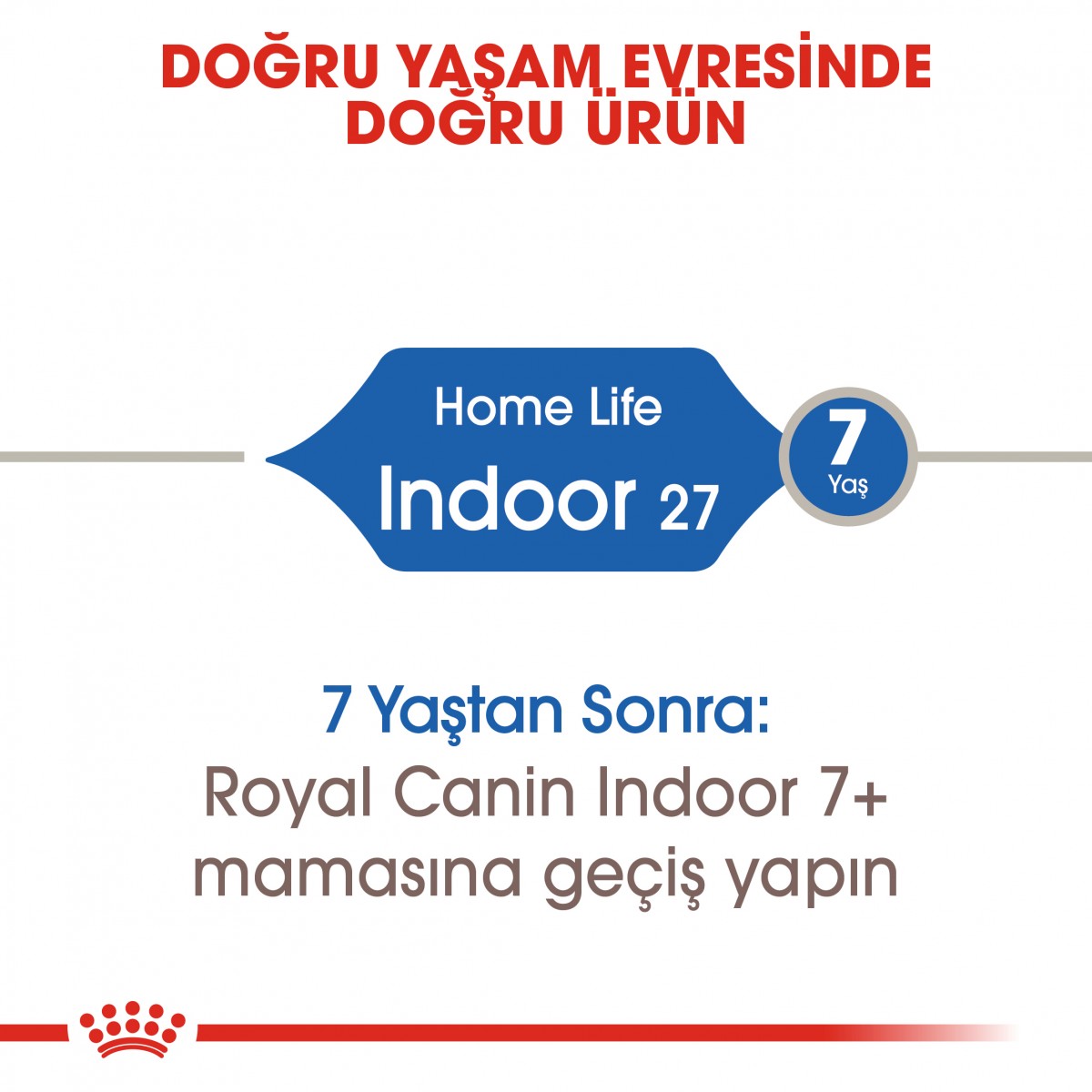 Royal Canin Indoor 27 Ev Kedileri İçin Yetişkin Kedi Maması 400 Gr Royal Canin Indoor 27 Ev Kedileri İçin Yetişkin Kedi Maması 400 Gr