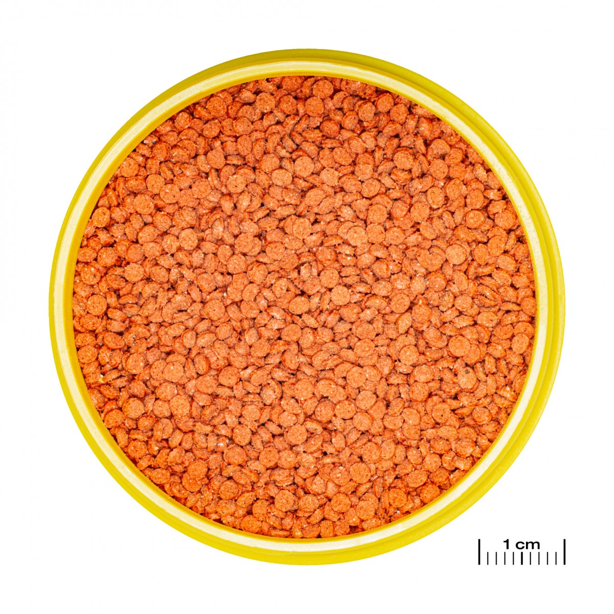 Jbl Pronovo Bıts Grano M 5,5l