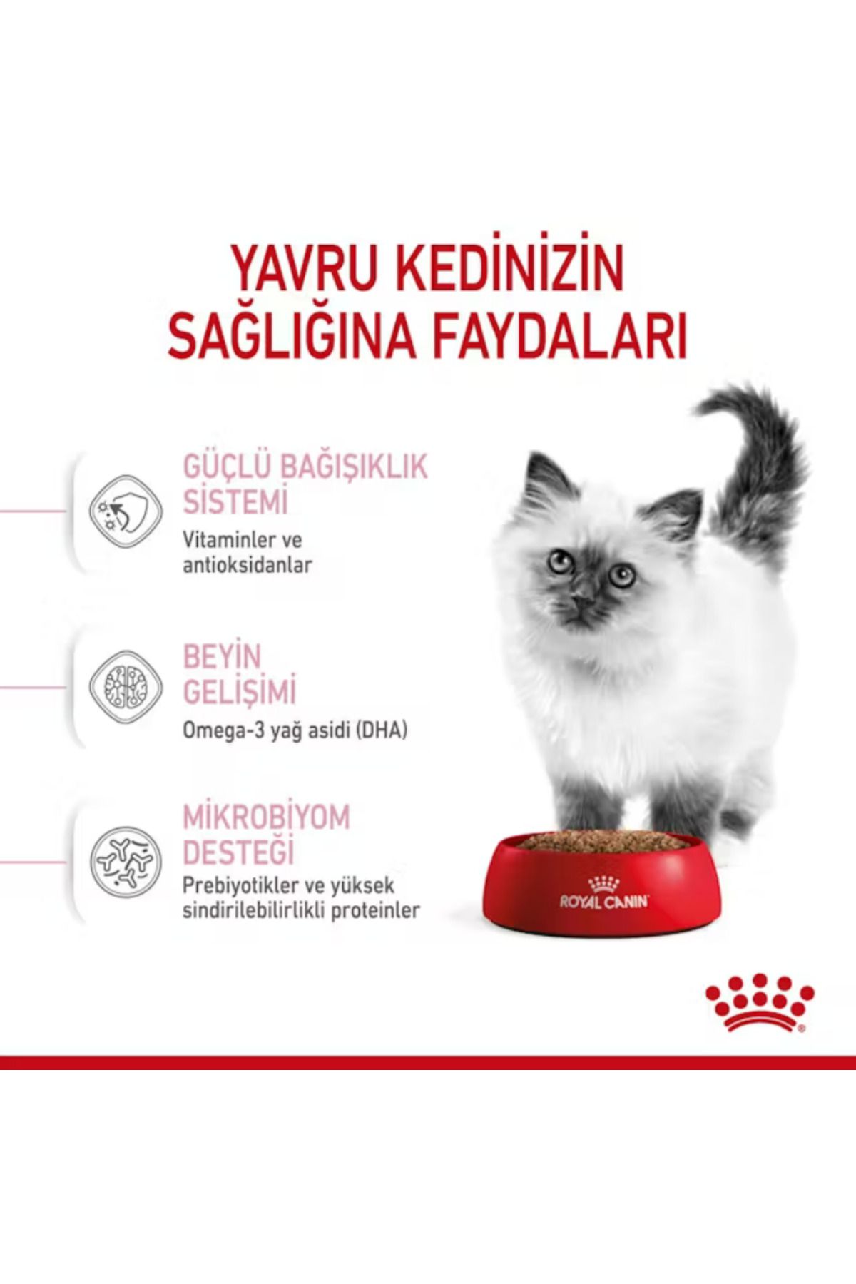 Kitten Yavru Kediler için Kuru Kedi Maması 2kg Kitten Yavru Kediler için Kuru Kedi Maması 2kg