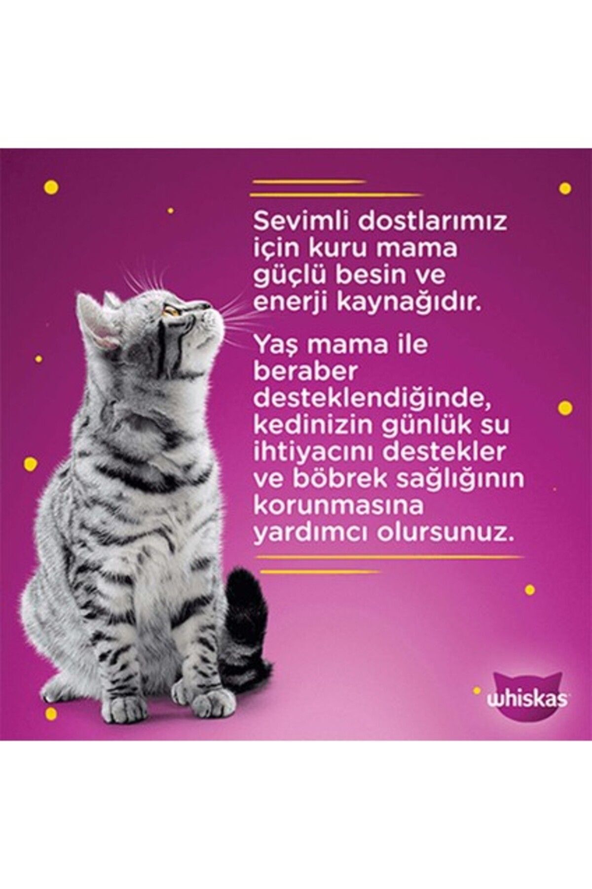 Pouch Pure Delight Tavuklu Yetişkin Kedi Mama 24 X 85 G Pouch Pure Delight Tavuklu Yetişkin Kedi Mama 24 X 85 G