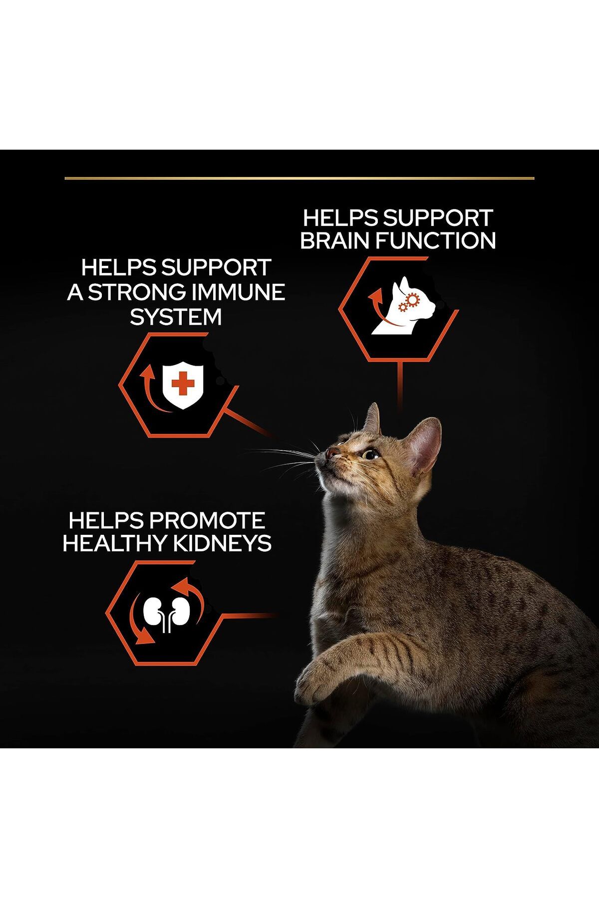 Proplan Adult Salmon Somonlu Yetişkin Kedi Maması 1.5 Kg