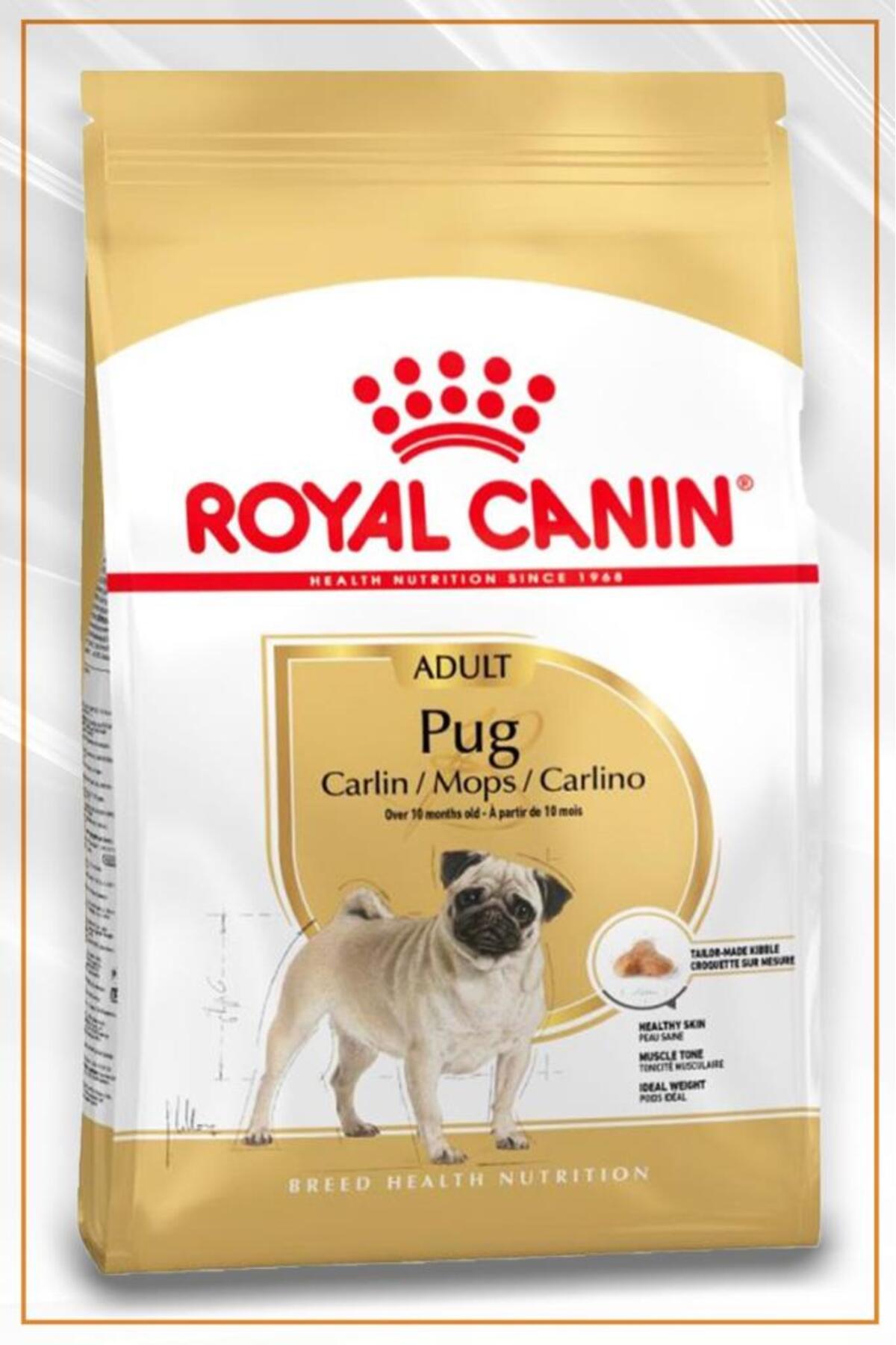 Pug Adult Yetişkin Köpek Maması 1,5 Kg - Petshopundan Pug Adult Yetişkin Köpek Maması 1,5 Kg - Petshopundan