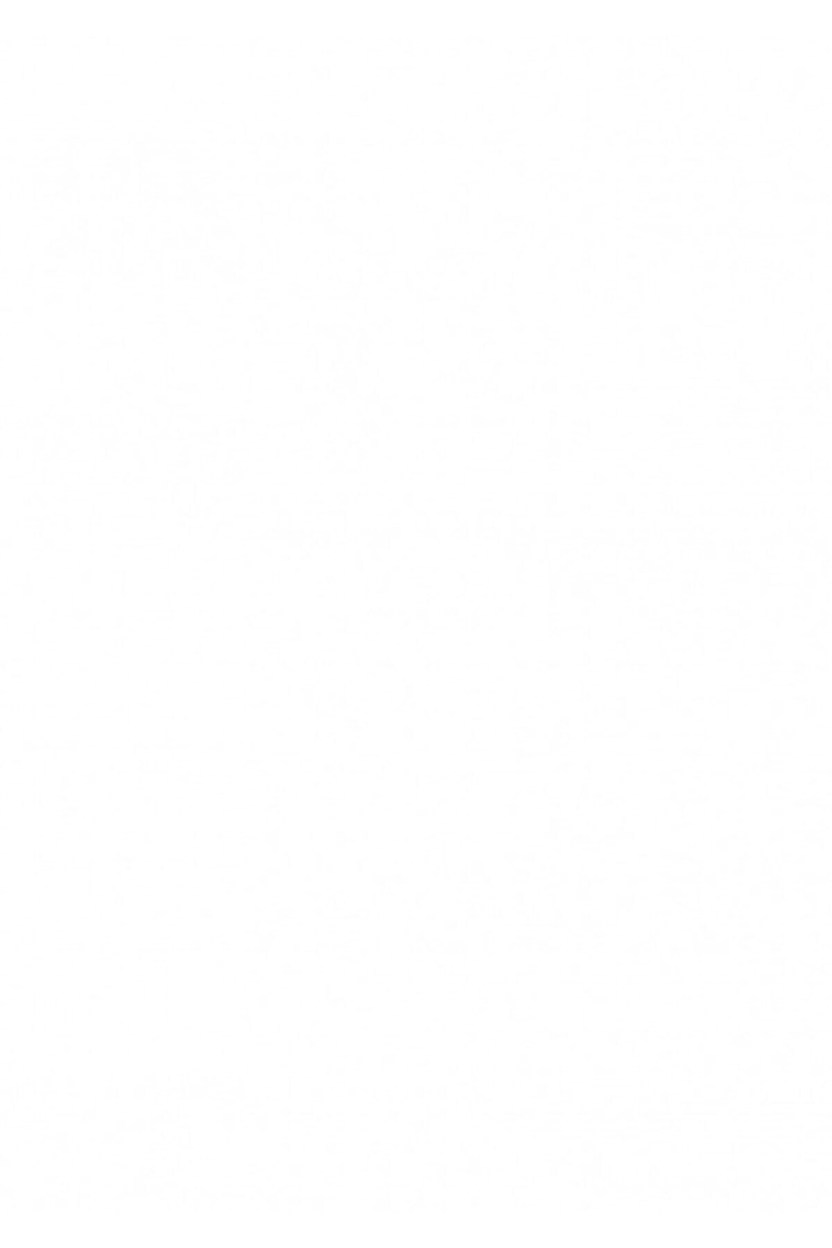 Tommy Renkli Kaydırmazlı Çelik Mama Kabı 17 Cm