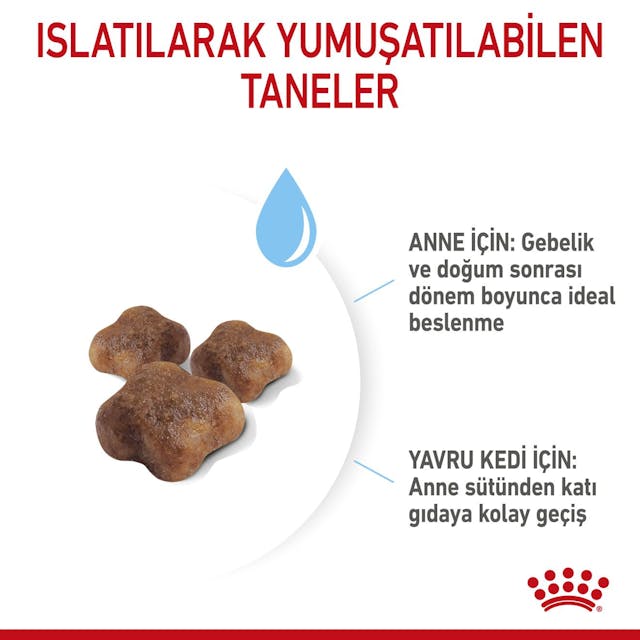 Royal Canin Mother & Babycat Anne ve Yavru Kedi Maması 2 Kg Royal Canin Mother & Babycat Anne ve Yavru Kedi Maması 2 Kg
