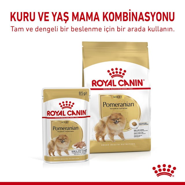 Royal Canın Bhn Pomeranın 85 Gr