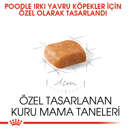 Royal Canin Poodle Puppy Yavru Köpek Maması 3 Kg Royal Canin Poodle Puppy Yavru Köpek Maması 3 Kg
