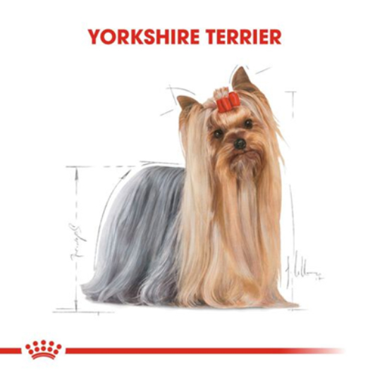 Royal Canin Yorkshire Terrier Yetişkin Köpek Konservesi 85 Gr Royal Canin Yorkshire Terrier Yetişkin Köpek Konservesi 85 Gr