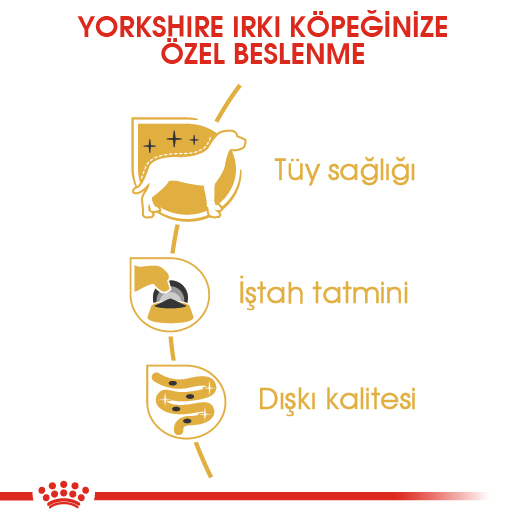 Royal Canin Yorkshire Terrier Yetişkin Köpek Konservesi 85 Gr Royal Canin Yorkshire Terrier Yetişkin Köpek Konservesi 85 Gr