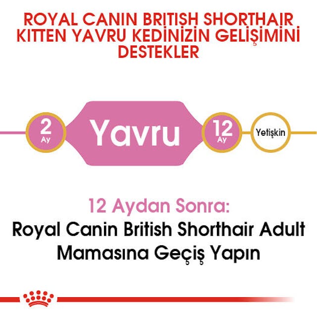 Royal Canin British Shorthair Kitten Yavru Kedi Maması 2 Kg Royal Canin British Shorthair Kitten Yavru Kedi Maması 2 Kg