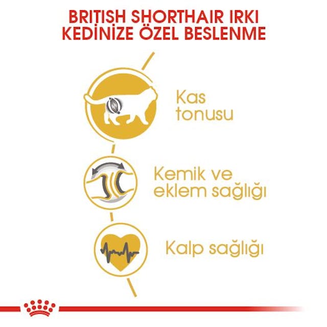 Royal Canin British Shorthair Yetişkin Kedi Maması 10 Kg Royal Canin British Shorthair Yetişkin Kedi Maması 10 Kg