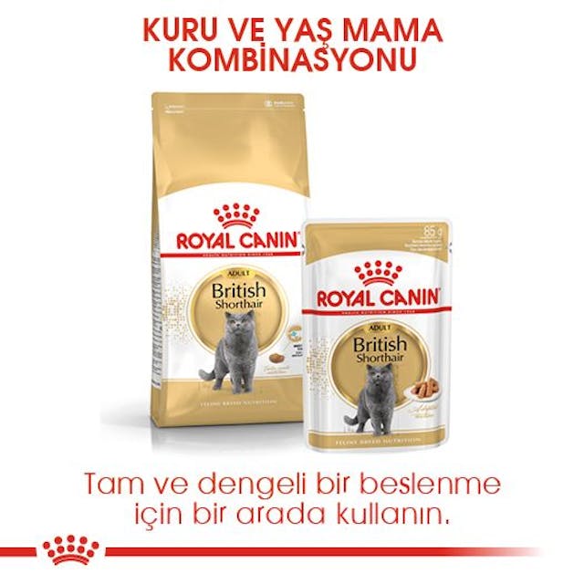 Royal Canin British Shorthair Yetişkin Kedi Maması 10 Kg Royal Canin British Shorthair Yetişkin Kedi Maması 10 Kg