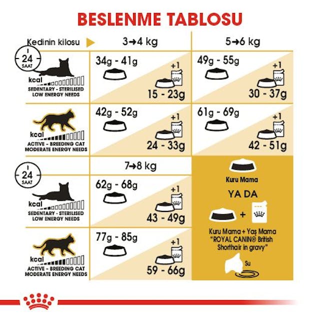 Royal Canin British Shorthair Yetişkin Kedi Maması 10 Kg Royal Canin British Shorthair Yetişkin Kedi Maması 10 Kg