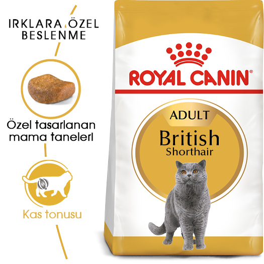 Royal Canin British Shorthair Adult Yetişkin Kedi Maması 10 Kg