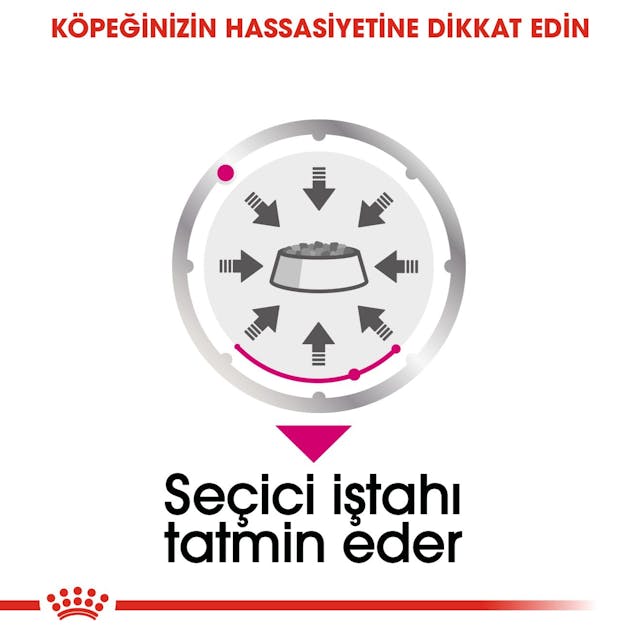 Royal Canin CCN Exigent Yaş Köpek Maması 85 Gr Royal Canin CCN Exigent Yaş Köpek Maması 85 Gr