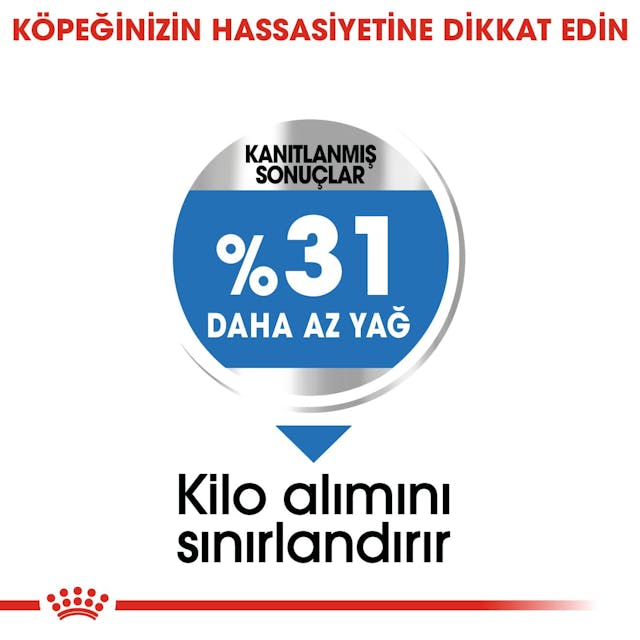 Royal Canin Mini Light Weight Care Küçük Irk Diyet Köpek Maması 3 Kg Royal Canin Mini Light Weight Care Küçük Irk Diyet Köpek Maması 3 Kg