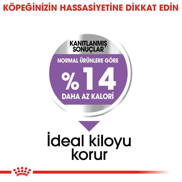Royal Canin Mini Sterilised Küçük Irk Kısırlaştırılmış Köpek Maması 3 Kg Royal Canin Mini Sterilised Küçük Irk Kısırlaştırılmış Köpek Maması 3 Kg