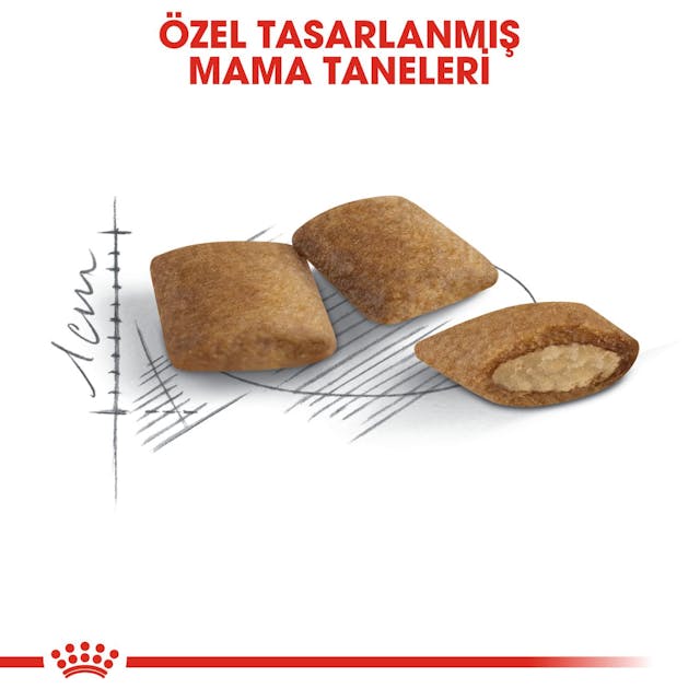 Royal Canin Ageing 12+ Yaşlı Kuru Kedi Maması 2 Kg Royal Canin Ageing 12+ Yaşlı Kuru Kedi Maması 2 Kg
