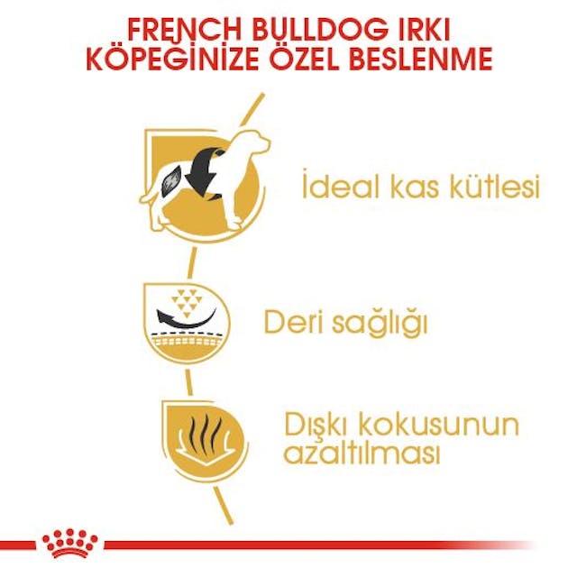 Royal Canin French Bulldog Yetişkin Köpek Maması 3 Kg Royal Canin French Bulldog Yetişkin Köpek Maması 3 Kg