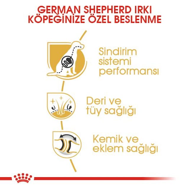 Royal Canin German Shepherd Adult Yetişkin Köpek Maması 11 Kg