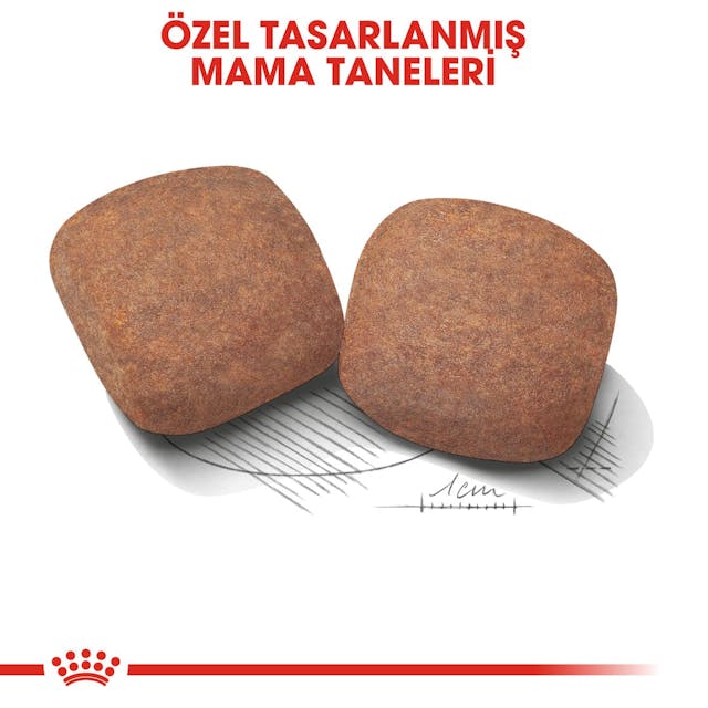 Royal Canin Giant Adult Dev Irk Yetişkin Köpek Maması 15 Kg