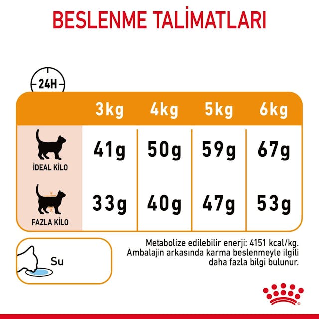 Royal Canin Hair & Skin Care Yetişkin Kedi Maması 2 Kg - Tüy ve Deri Sağlığı İçin Özel Formül