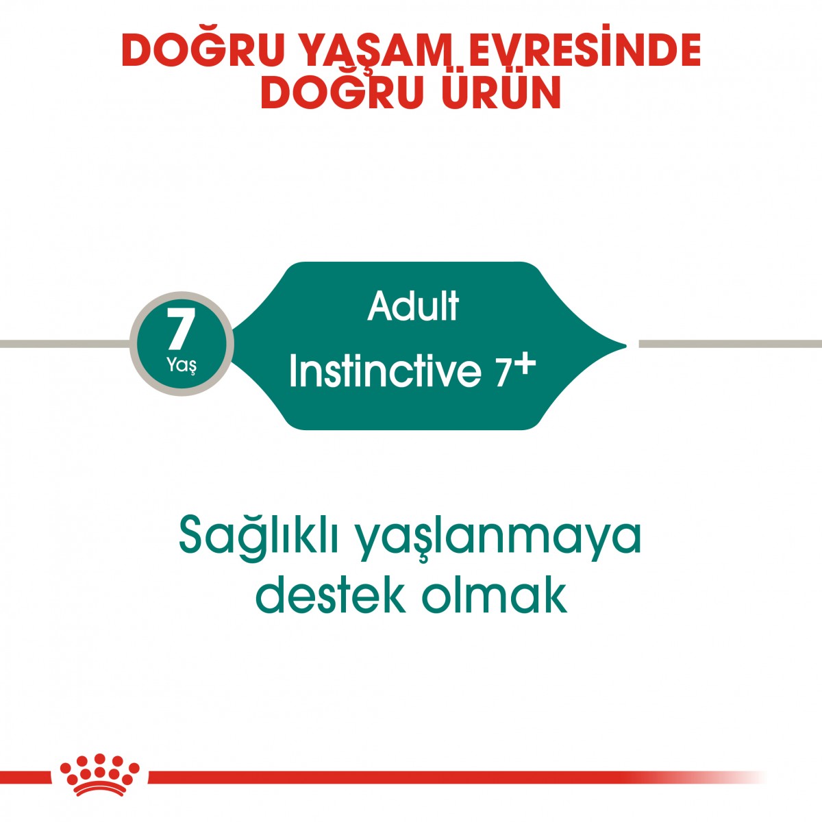 Royal Canin Instinctive 7+ Yaşlı Yaş Kedi Maması 85 Gr Royal Canin Instinctive 7+ Yaşlı Yaş Kedi Maması 85 Gr