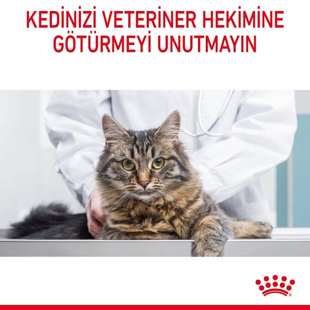 Royal Canin Hairball Care Tüy Yumağı Önleyici Kedi Maması 2 Kg Royal Canin Hairball Care Tüy Yumağı Önleyici Kedi Maması 2 Kg
