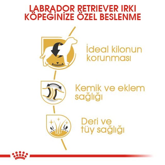 Royal Canin Labrador Retriever Adult Yetişkin Köpek Maması 12 Kg