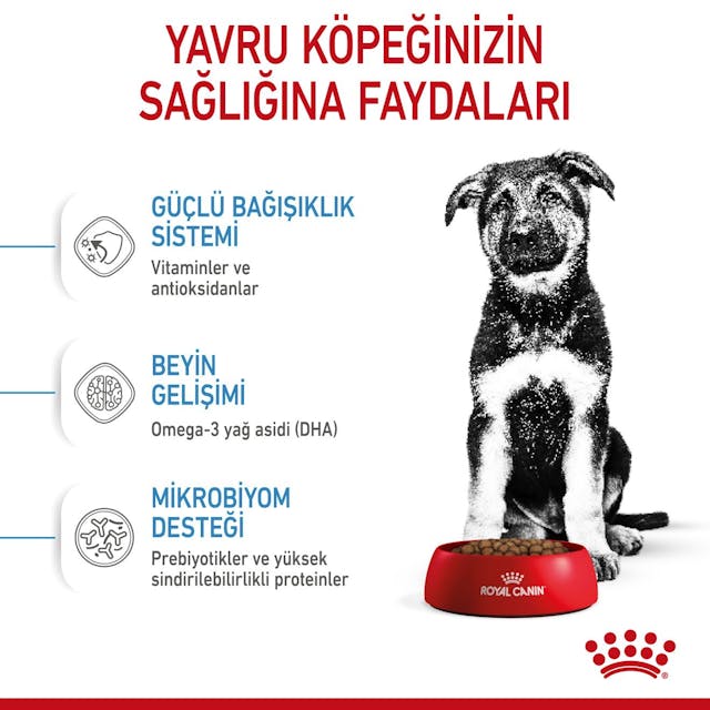 Royal Canin Maxi Puppy Büyük Irk Yavru Köpek Maması 15 Kg Royal Canin Maxi Puppy Büyük Irk Yavru Köpek Maması 15 Kg