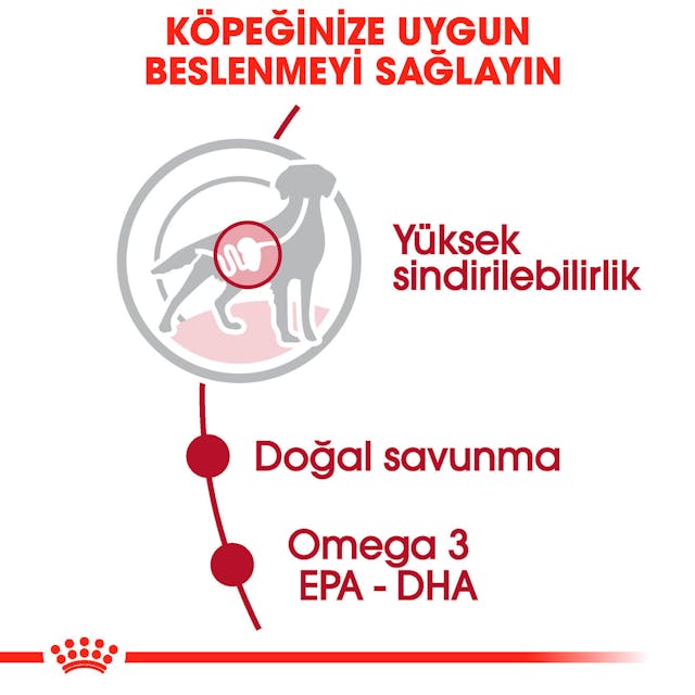 Royal Canin Medium Adult Orta Irk Yaş Köpek Maması 140 Gr Royal Canin Medium Adult Orta Irk Yaş Köpek Maması 140 Gr