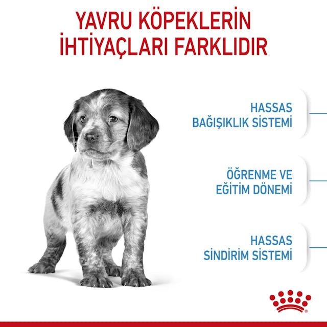 Royal Canin Medium Puppy Orta Irk Yavru Köpek Maması 4 Kg Royal Canin Medium Puppy Orta Irk Yavru Köpek Maması 4 Kg