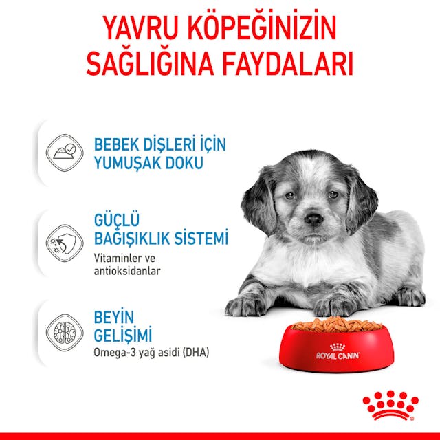 Royal Canin Medium Puppy Orta Irk Yavru Köpek Yaş Maması 140 Gr Royal Canin Medium Puppy Orta Irk Yavru Köpek Yaş Maması 140 Gr