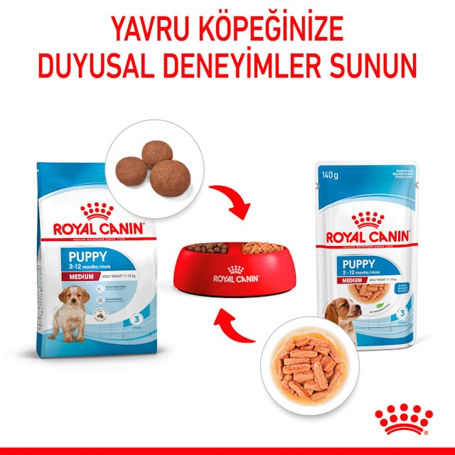 Royal Canin Medium Puppy Orta Irk Yavru Köpek Yaş Maması 140 Gr Royal Canin Medium Puppy Orta Irk Yavru Köpek Yaş Maması 140 Gr